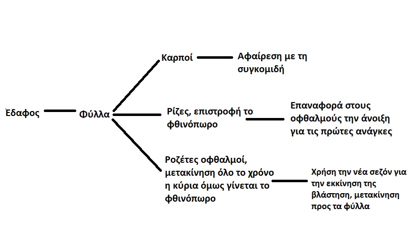 κυκλος 2